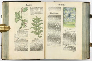 Hortus Sanitatis.