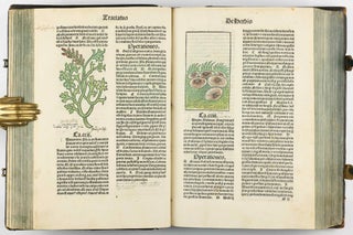 Hortus Sanitatis.
