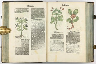 Hortus Sanitatis.