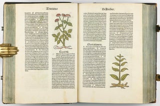 Hortus Sanitatis.
