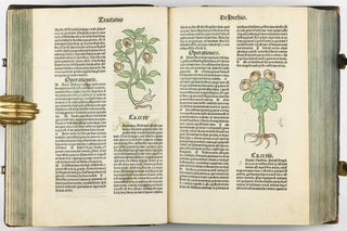 Hortus Sanitatis.