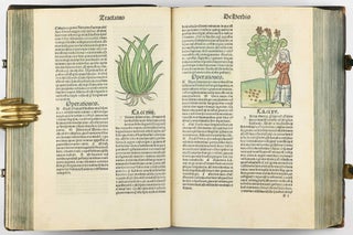 Hortus Sanitatis.