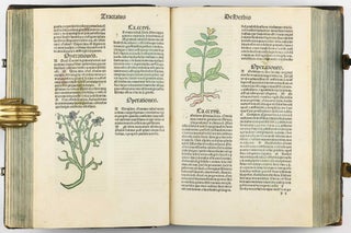 Hortus Sanitatis.