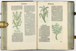 Hortus Sanitatis.