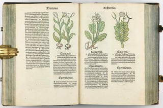 Hortus Sanitatis.
