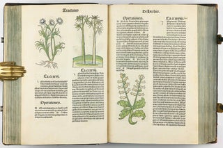 Hortus Sanitatis.