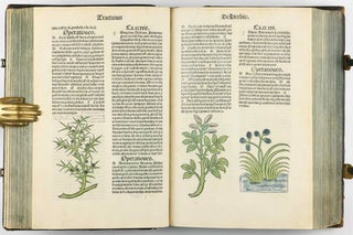Hortus Sanitatis.