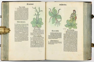 Hortus Sanitatis.