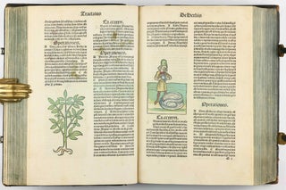Hortus Sanitatis.