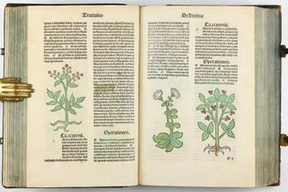 Hortus Sanitatis.