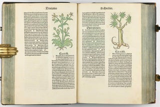 Hortus Sanitatis.