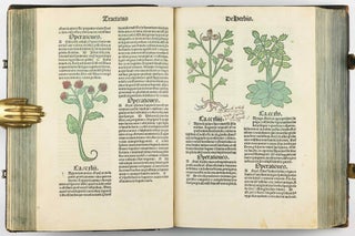 Hortus Sanitatis.