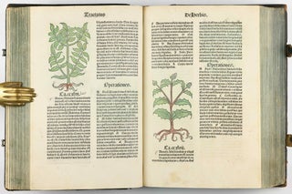 Hortus Sanitatis.
