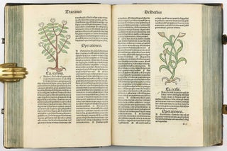 Hortus Sanitatis.