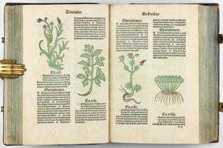 Hortus Sanitatis.