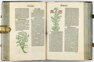 Hortus Sanitatis.