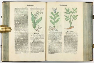 Hortus Sanitatis.