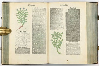 Hortus Sanitatis.