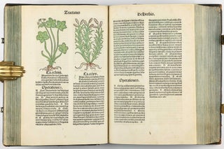 Hortus Sanitatis.