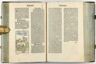 Hortus Sanitatis.