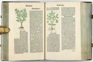 Hortus Sanitatis.