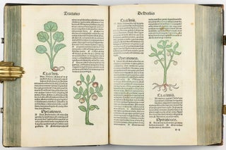 Hortus Sanitatis.
