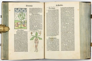 Hortus Sanitatis.