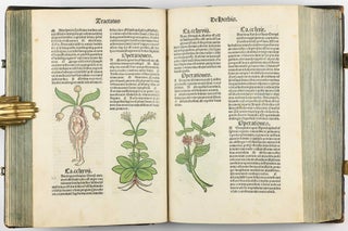 Hortus Sanitatis.