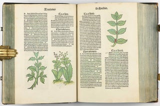 Hortus Sanitatis.