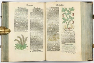 Hortus Sanitatis.