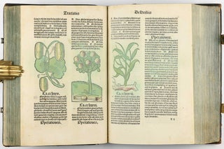 Hortus Sanitatis.