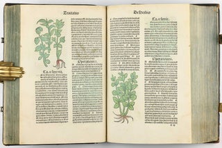 Hortus Sanitatis.