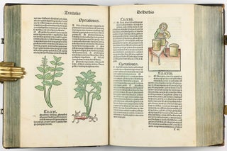 Hortus Sanitatis.