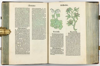 Hortus Sanitatis.