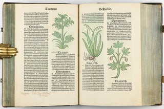 Hortus Sanitatis.