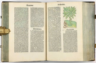 Hortus Sanitatis.