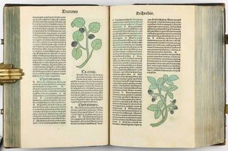Hortus Sanitatis.