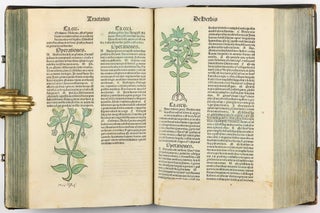 Hortus Sanitatis.