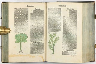 Hortus Sanitatis.