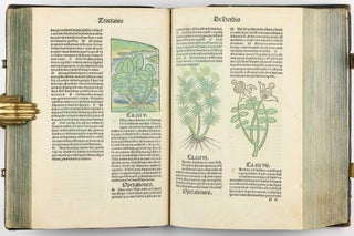 Hortus Sanitatis.