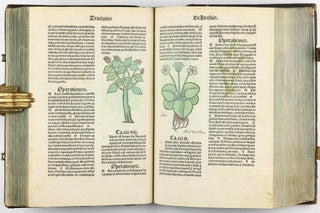 Hortus Sanitatis.
