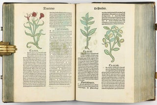Hortus Sanitatis.