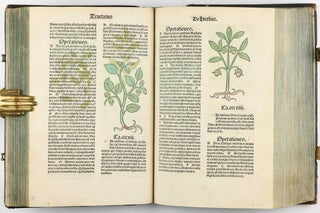 Hortus Sanitatis.