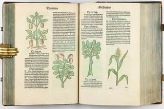 Hortus Sanitatis.