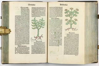Hortus Sanitatis.