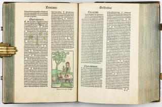 Hortus Sanitatis.