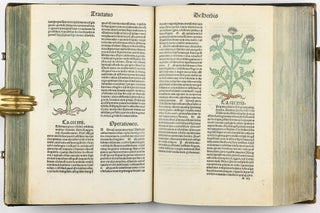Hortus Sanitatis.