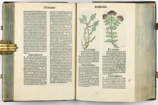 Hortus Sanitatis.
