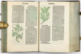 Hortus Sanitatis.