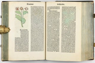 Hortus Sanitatis.